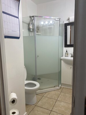 Shower, hair dryer, bidet, towels