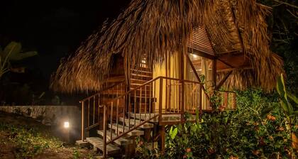 Cozy Cabin Nestled in Bamboo Forest