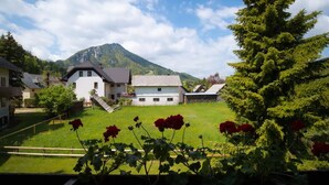 A rural house with a sloped roof, surrounded by a grassy yard and a mountain in the background. - Chalet Zala, Garden, Terace, EVcharger, Sauna, Jacuzzi  (Jesenice)