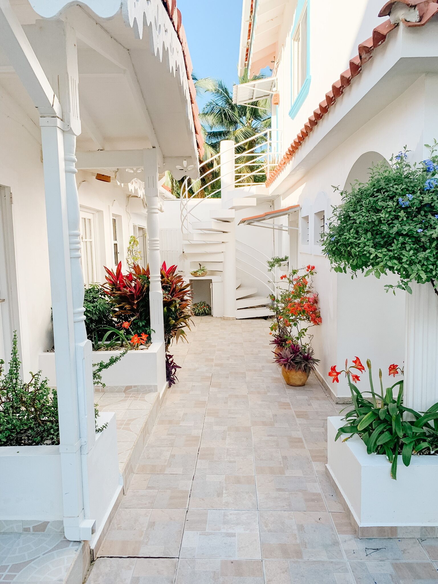 Une cour étroite, dallée de carreaux, avec des murs blancs et un sol carrelé, entourée de plantes en pot et d’un escalier.