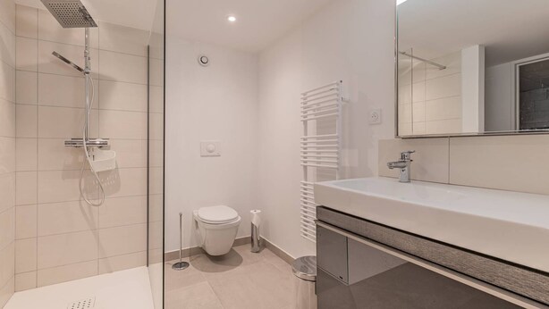 A modern bathroom with a glass shower enclosure, a toilet, and a vanity with a mirror.