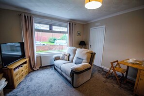 Télévision, cheminée, livres