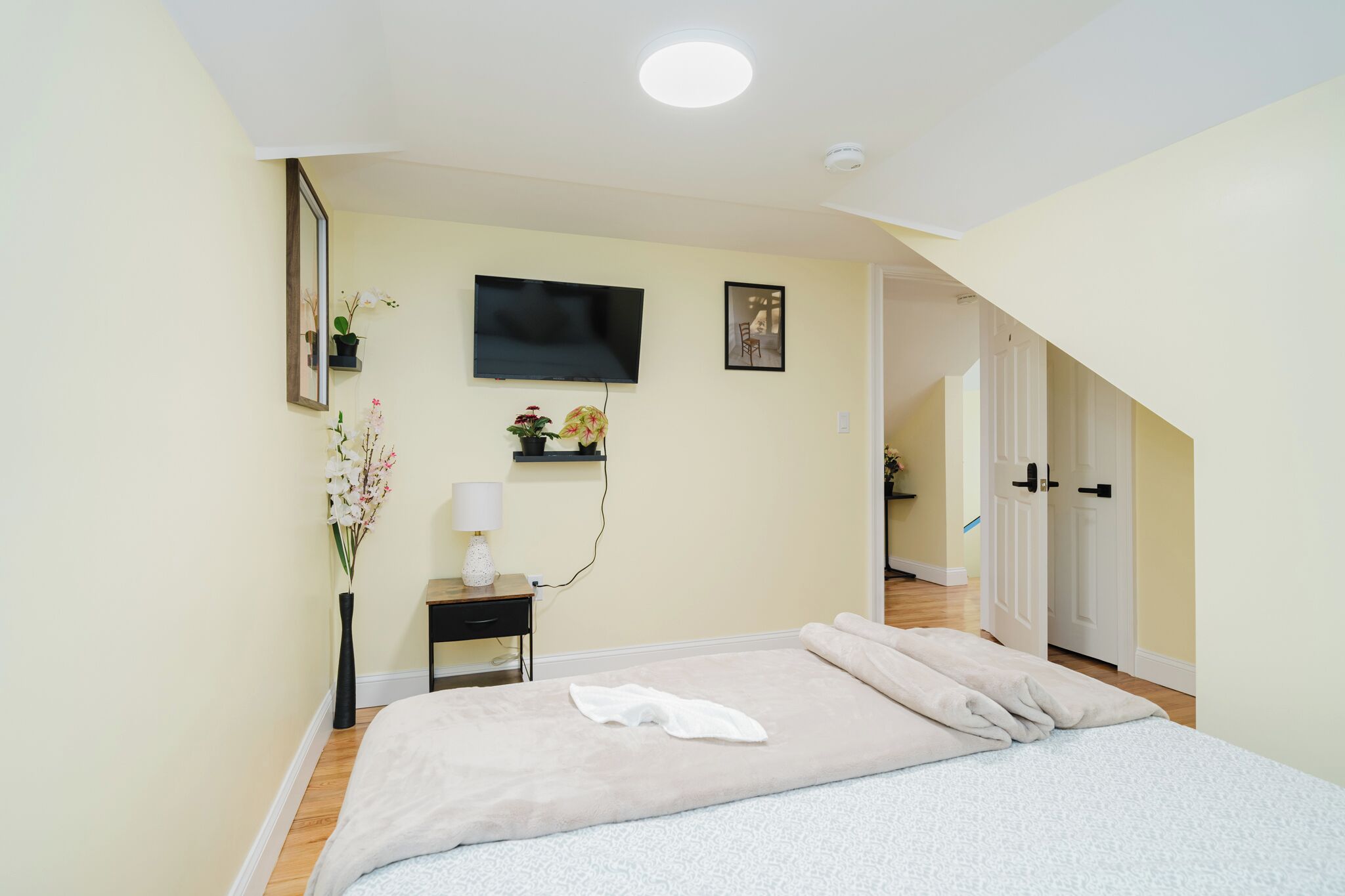 A bedroom with a bed, a TV, a nightstand, a lamp, and a plant.