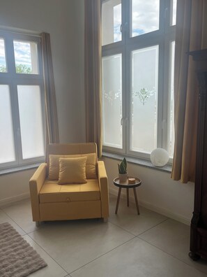 Télévision, cheminée, livres