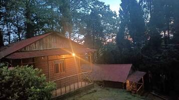 A wooden cabin with a porch, surrounded by dense forest.