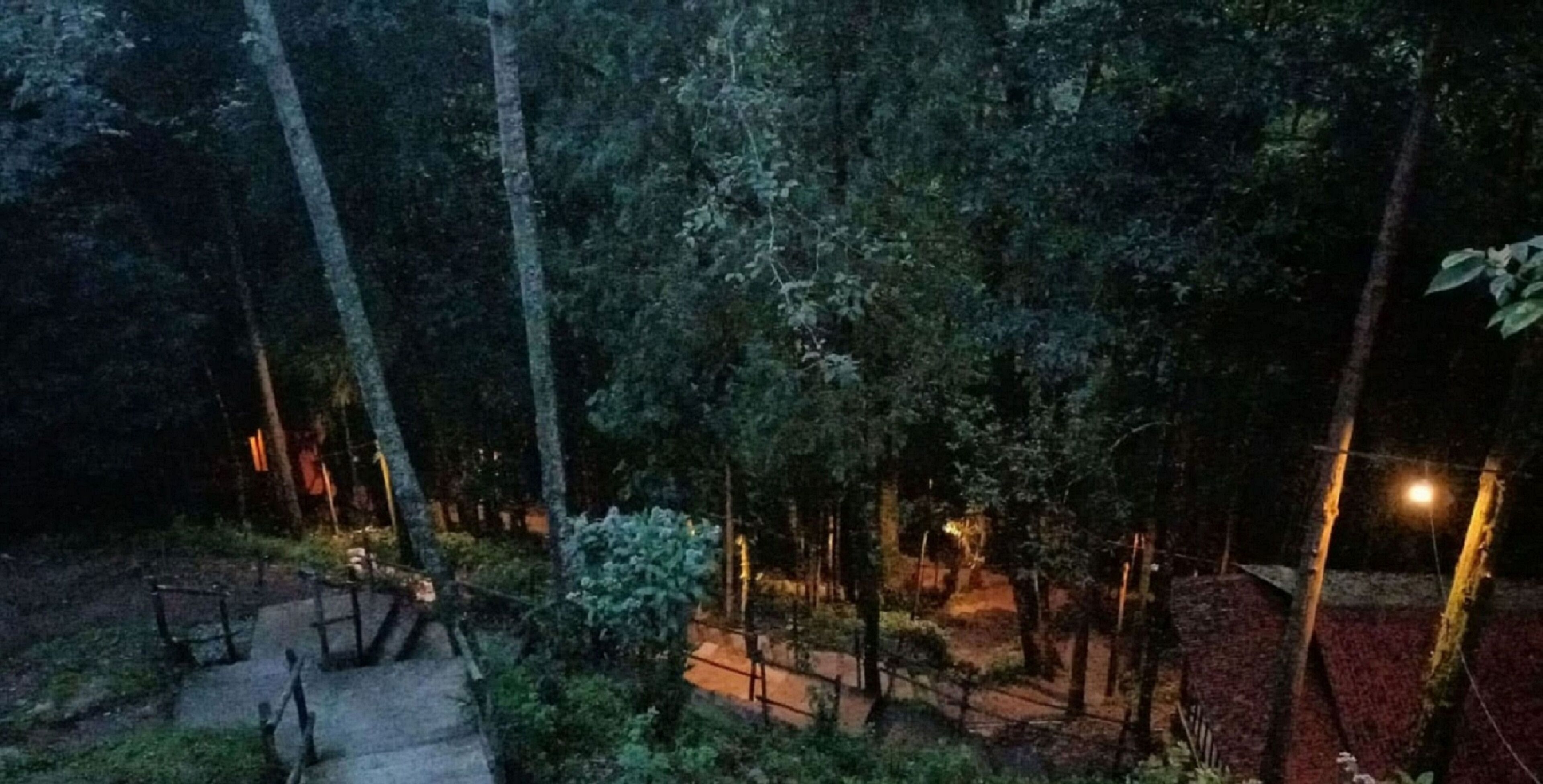 Vista nocturna de una zona boscosa con senderos y una pequeña estructura iluminada.