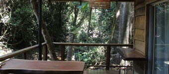 阿莫伦蒂亚庄园和苗圃