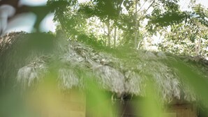 A rustic wooden cabin with a thatched roof, a bed with a canopy, and a wooden easel. - Mtoni river Lodge (Arusha)