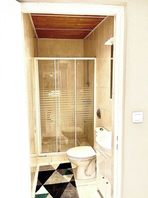 シャワー、ヘアドライヤー、タオル、トイレットペーパー