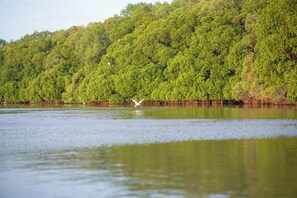 Exterior - Omkara Rekawa (Netolpitiya)
