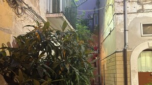Un stretto vicolo con una pianta in vaso a sinistra, un tappeto rosso che conduce all'ingresso di un edificio e un sentiero lastricato in pietra.