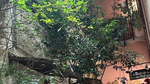 Un vicolo stretto con un muro in pietra, piante in vaso e un cartello che indica un luogo chiamato 'La Maison del Borso Antico'.