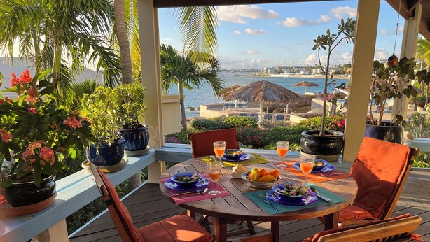 Un espace extérieur aménagé pour les repas, avec vue sur la mer, du mobilier en bois et des plantes en pot.