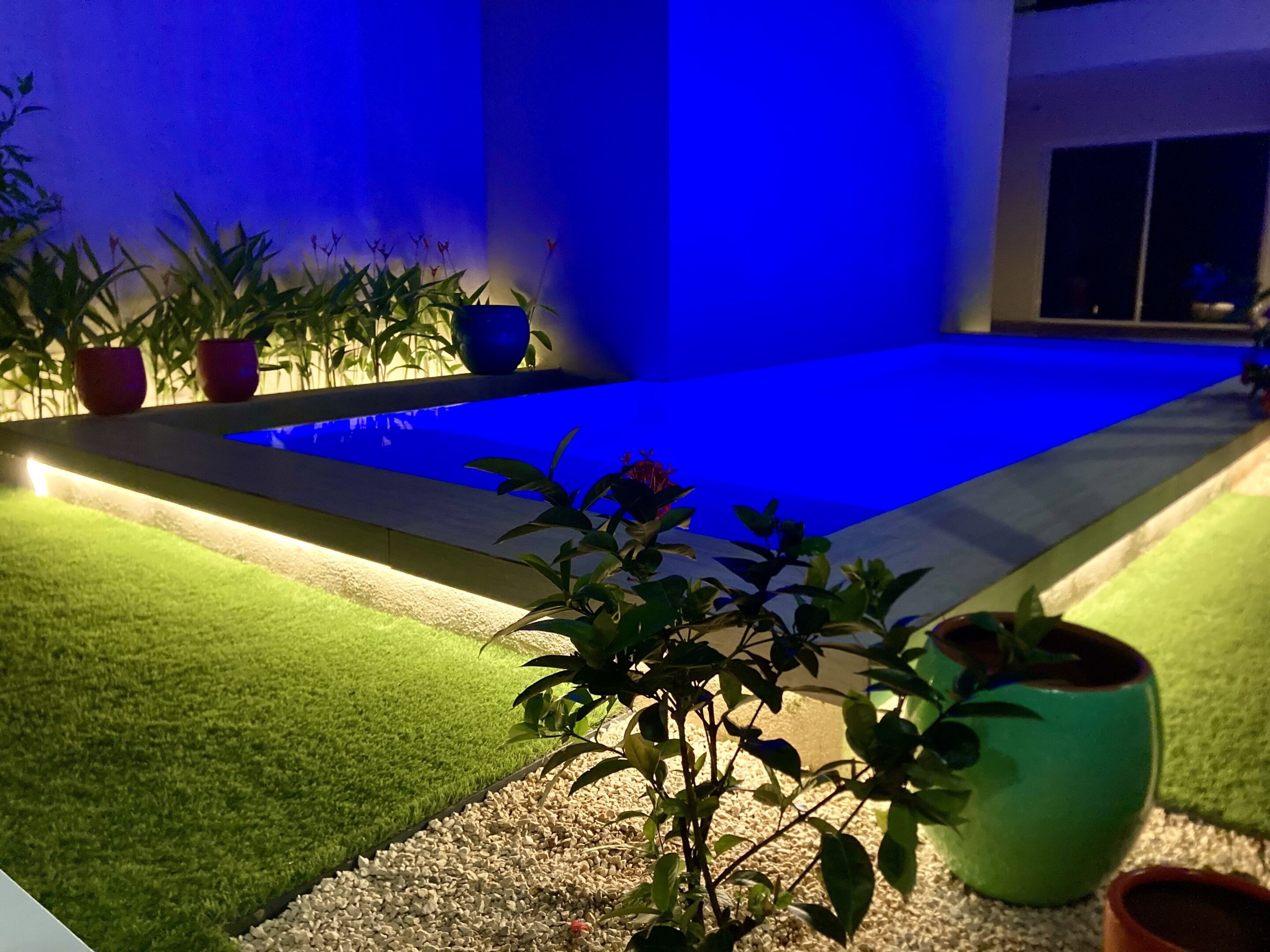 A swimming pool with blue lighting, surrounded by potted plants and a well-maintained lawn.
