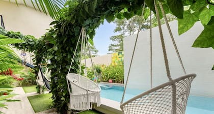 Pierre and Colors TAMARINDO Adult Only