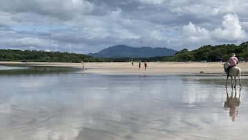 海灘