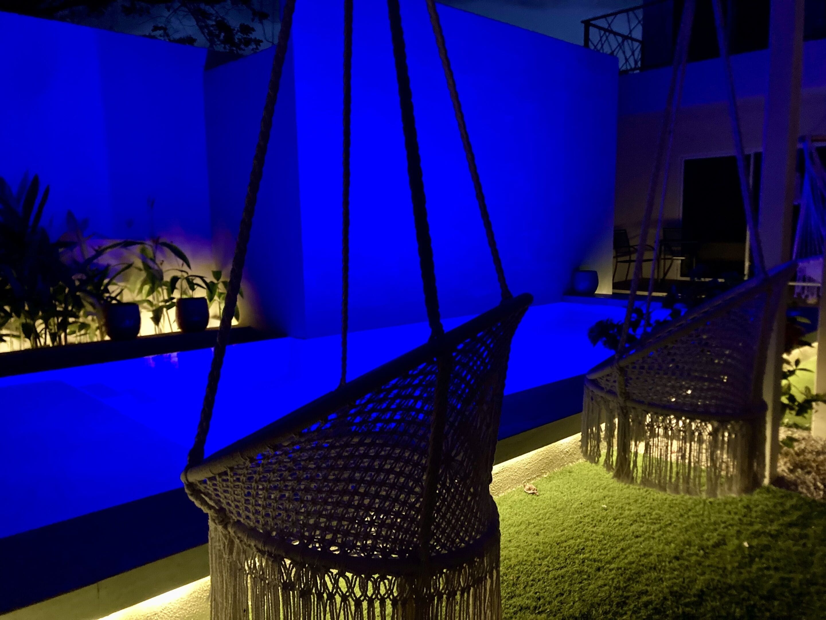 A hammock chair suspended over a blue-lit wall, with a small turtle on the grass below.