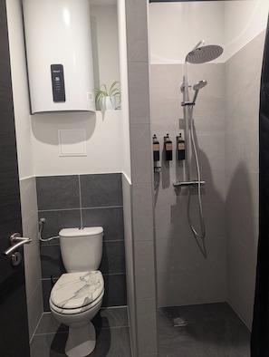 Regadera, amenidades de baño ecológicas, secadora de cabello, toallas