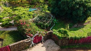 A garden with a red wooden structure, a green trellis, and a stone wall. - Villa Deluxe 9 rooms - 30 minutes from Tamarindo & 5 minutes from Playa Negra (Playa Negra)