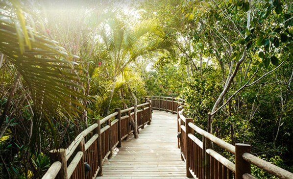 Parco della struttura