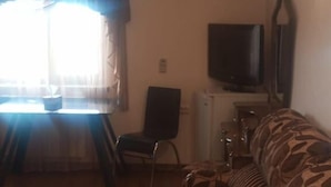 Un salon avec un canapé à motifs, un téléviseur et un coin repas comprenant une table et des chaises.