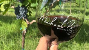 Een hand die een wijnglas vasthoudt, met 'Michael Ros Winery' erop, voor een wijngaard.