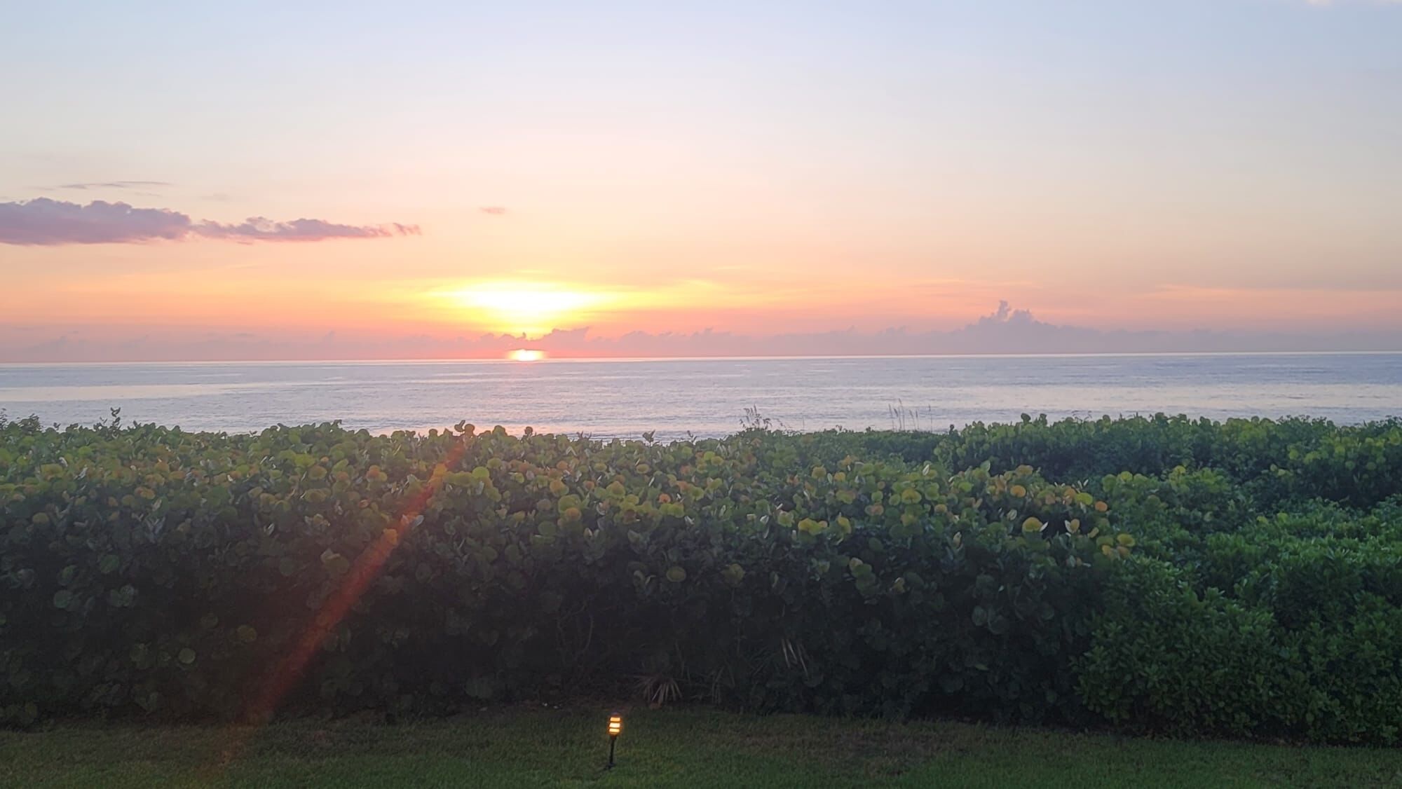 A sunset over a body of water with a hedge in the foreground.