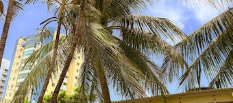 Caju Villa