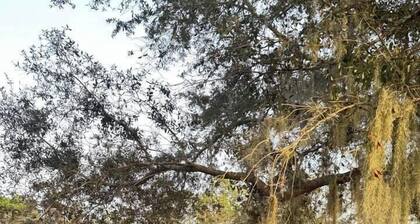 The Bunkhouse at Origins Ranch