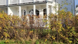 A multi-story building with a white exterior, balconies, and arched windows. - This enchanting, modern and tastefully furnished 3-room apartment with a covered terrace and a view of the countryside invites you to linger. (Ostseebad Nienhagen)