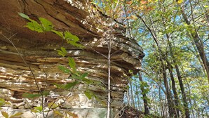 A natural rock formation with trees and foliage around it.