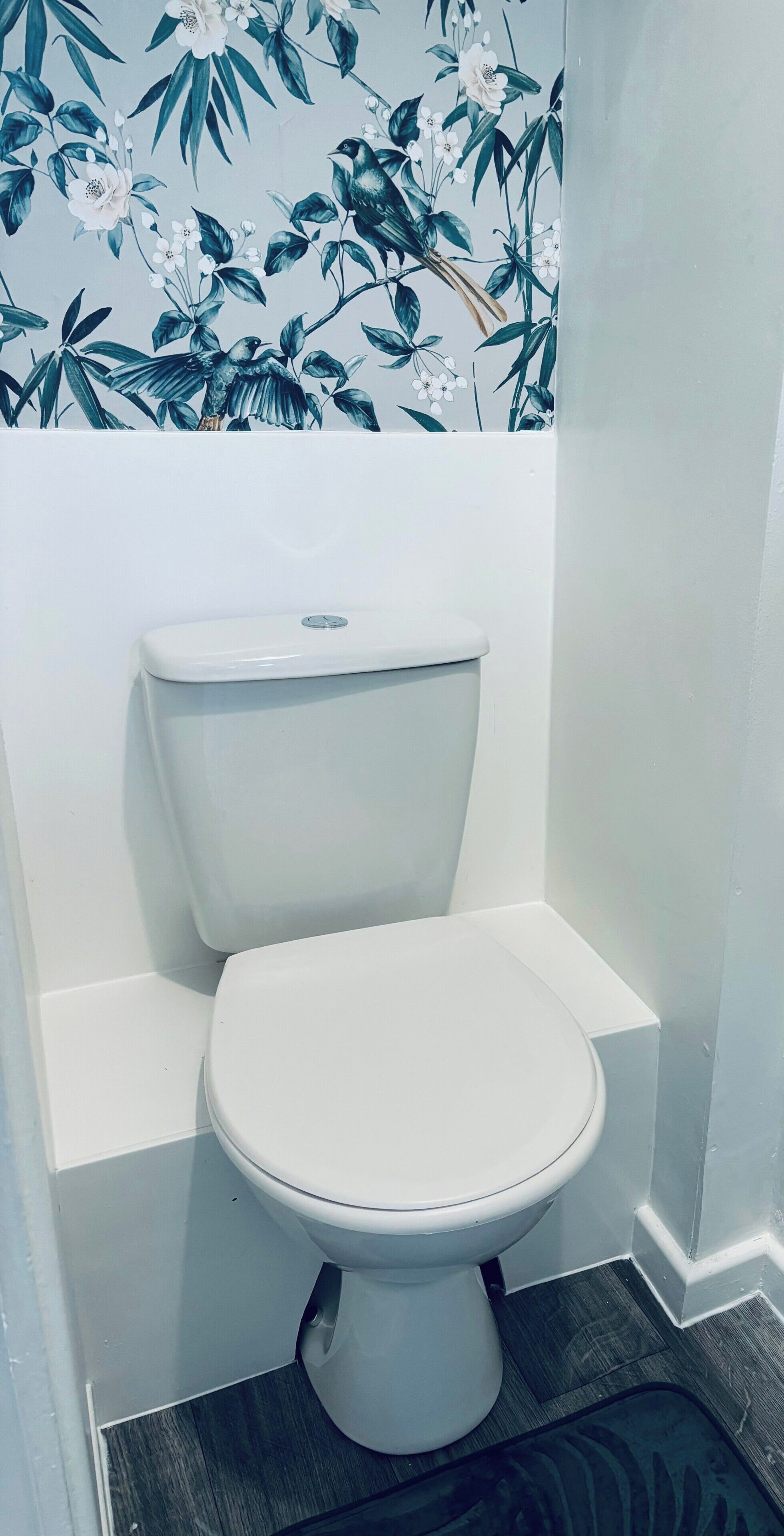 A toilet in a bathroom with a floral wallpaper design.
