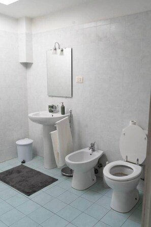 Shower, hair dryer, bidet