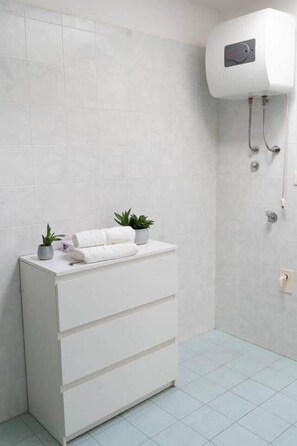 Shower, hair dryer, bidet