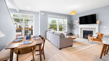 Smart TV, fireplace, books