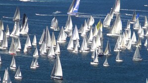 Viele Segelboote auf einer Wasserfläche.
