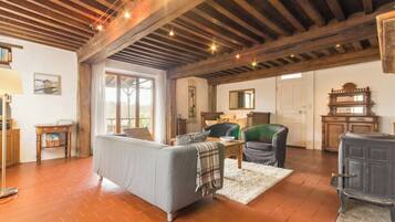 TV connectée, cheminée, lecteur de DVD, livres