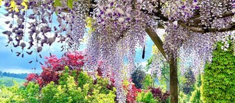 Eco-GĂźte Le Boulard for your vacations in the heart of the Morvan Regional Park.