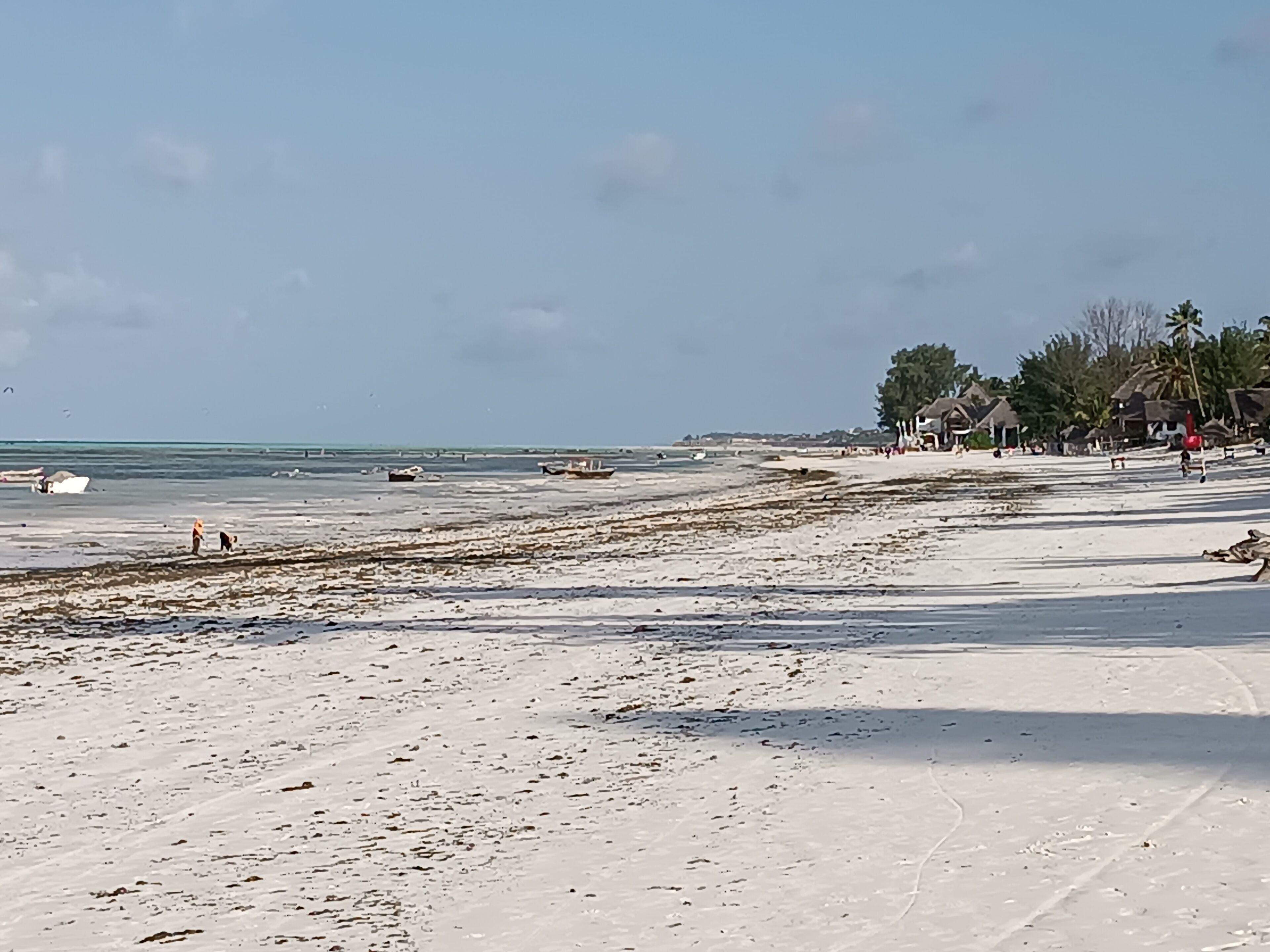 House, 3 Bedrooms, Accessible, Smoking | Beach