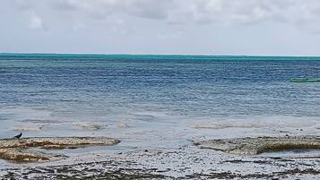 House, 3 Bedrooms, Accessible, Smoking | Pantai