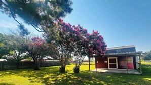 Ein kleines Gebäude mit roter Fassade und einer Tür, umgeben von einer grünen Wiese und Bäumen mit rosa Blüten.