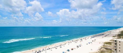 Condo, 1 King Bed with Sofa bed (Tradewinds 1305) | Beach