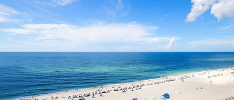 Condo, 1 Queen Bed with Sofa bed (Tradewinds 1102) | Beach | On the beach