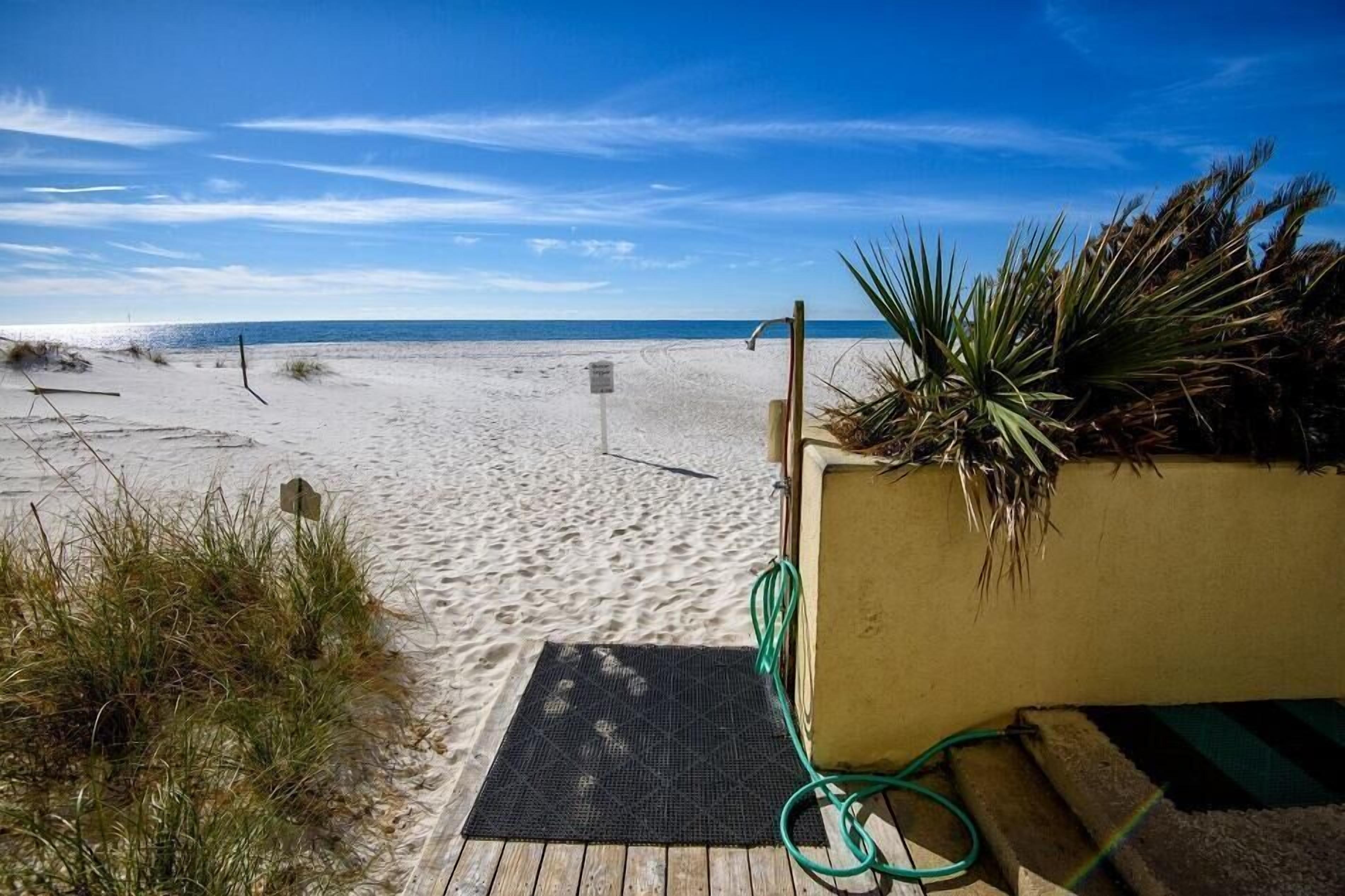 A beach with a wooden deck, a green hose, and a palm plant.