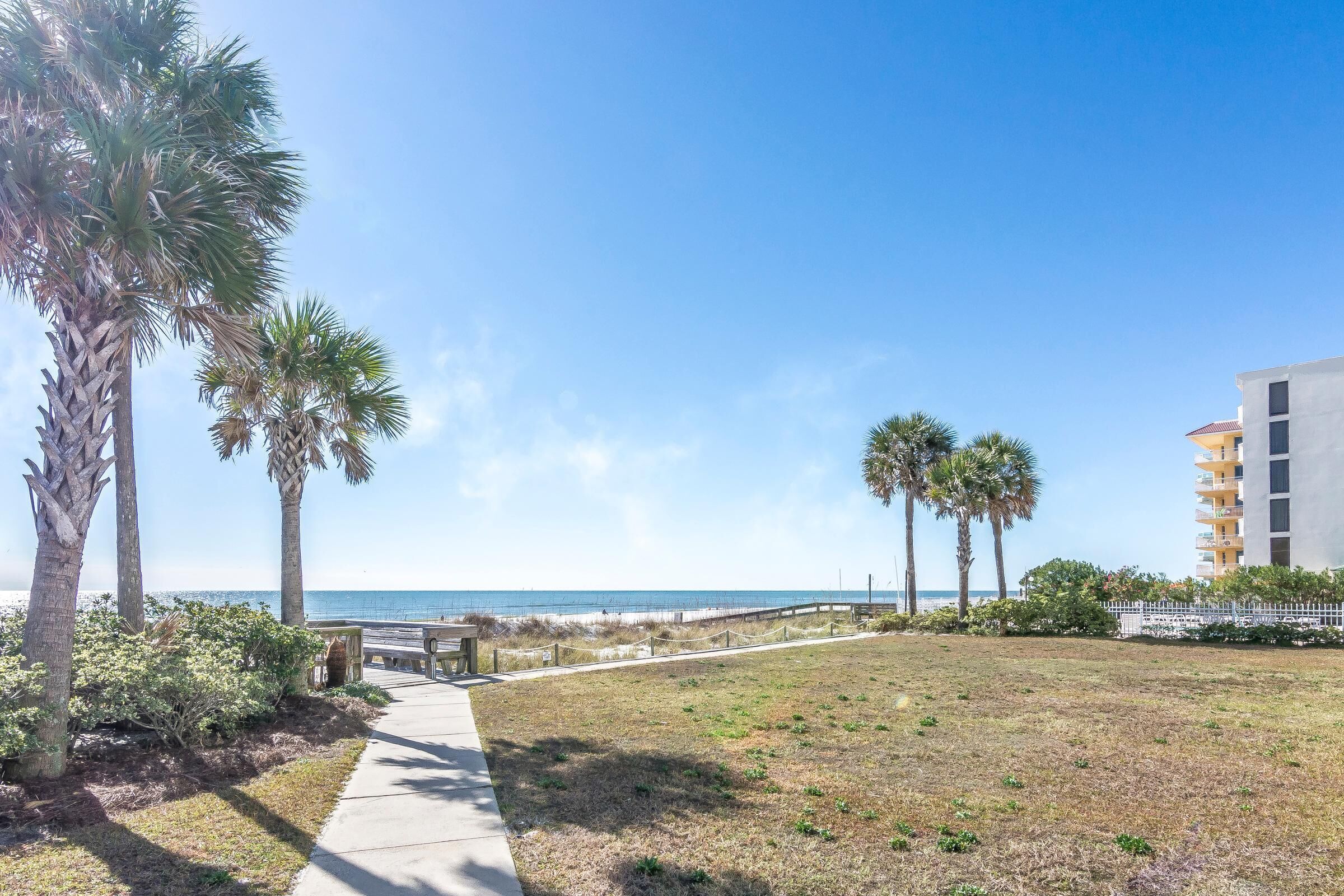 A pathway leading to a beach with palm trees and a building in the background.