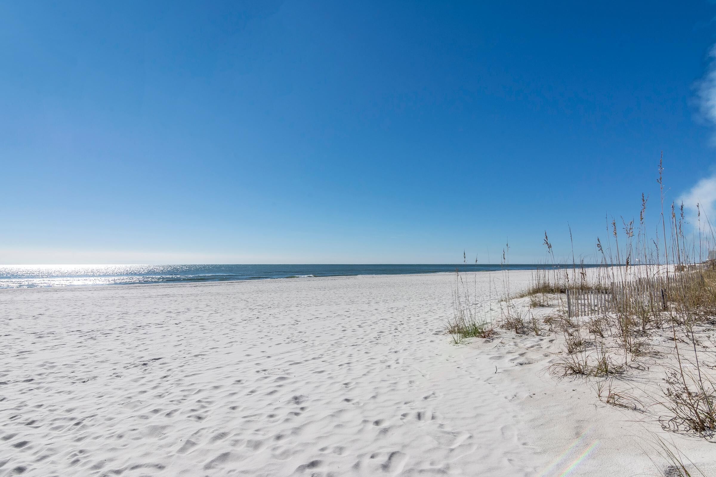Une plage de sable fin, avec un ciel dégagé et l’océan en toile de fond.