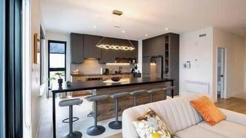 TV, fireplace, ping pong