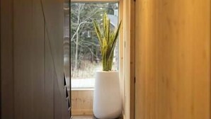 A narrow hallway with a large window at the end, a potted plant, and wooden walls.