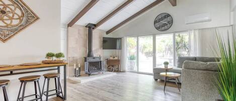 Smart TV, fireplace, books