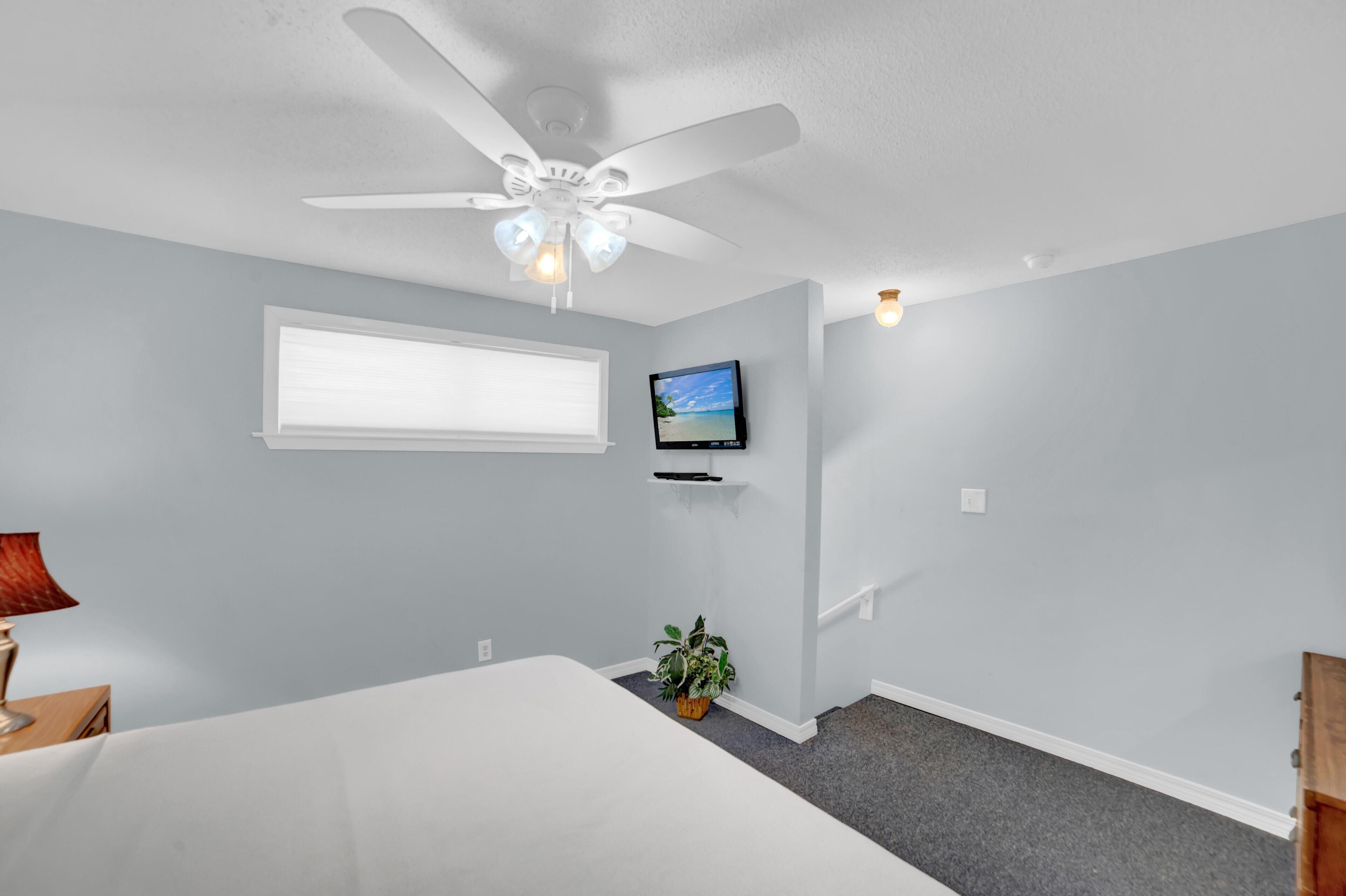 A bedroom with a bed, a ceiling fan, a TV mounted on the wall, a window with blinds, and a small plant.